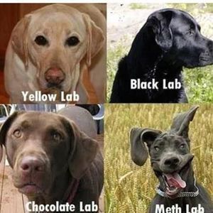 Meet your Posher, Mike